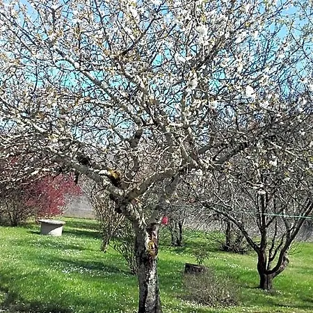 La Maison D'alienor Frühstückspension